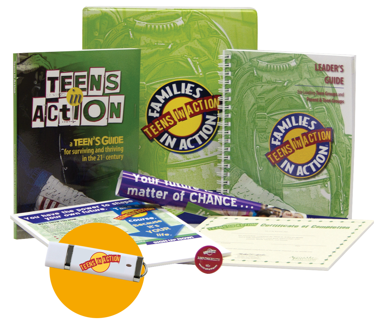 Teens in Action Program Kit (Flash Drive)